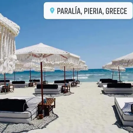 Vesna Luxury & Stefan Ap 10 Apartament *